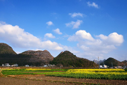 安龍網站建設