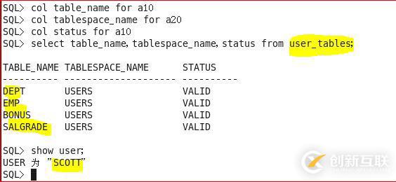 Oracle 11g R2 數(shù)據(jù)字典