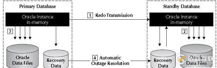 Oracle學(xué)習(xí)之DATAGUARD(一) DG架構(gòu)