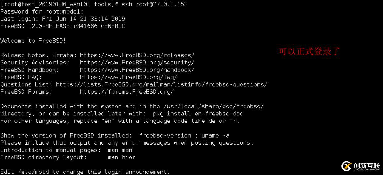 自定義FreeBSD12鏡像拉起ECS報錯后的處理過程