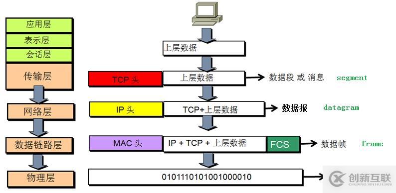 計算機網絡概述