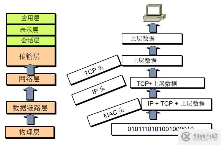 計算機網絡概述