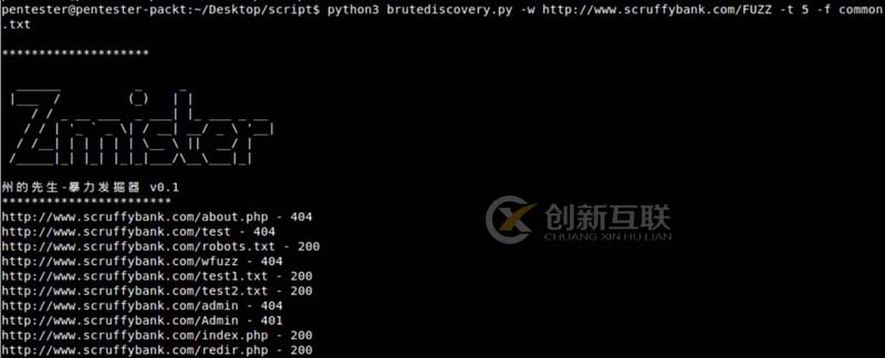 使用Python怎么實(shí)現(xiàn)一個(gè)資源探測器