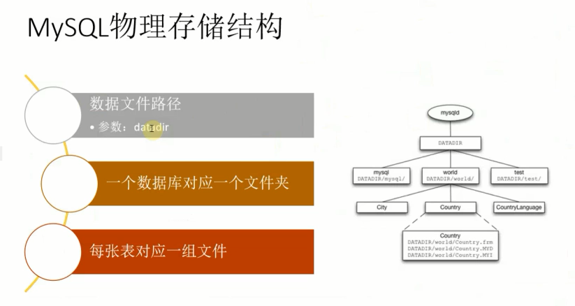 mysql的order by rand方法實際運用