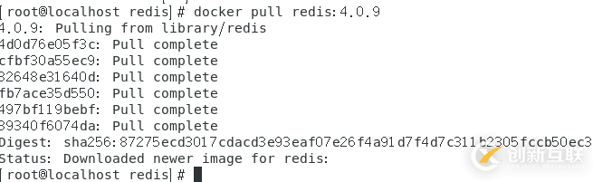 怎么在docker中以配置文件的方式啟動(dòng)redis