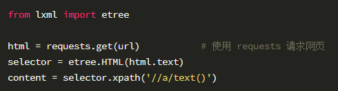 如何使用Xpath工具與 lxml 庫