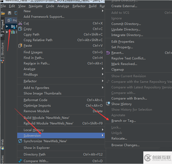 IntelliJ IDEA使用SVN分支的簡(jiǎn)單介紹