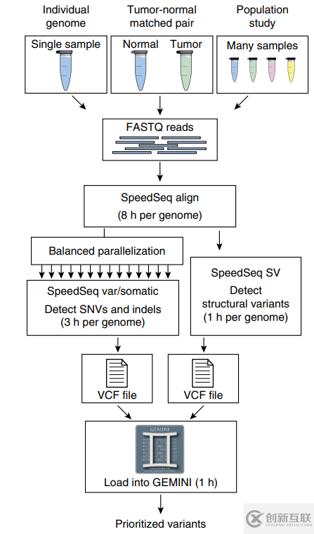 如何理解基因組數(shù)據(jù)分析軟件SpeedSeq