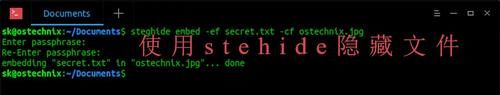 Linux中怎么將文件隱藏到圖像中