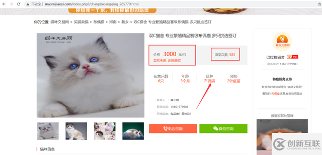 Python如何爬取貓咪網(wǎng)站交易數(shù)據(jù)