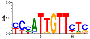 如何使用WebLogo可視化motif