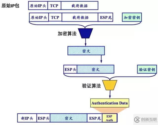 Rancher Managed Network的示例分析