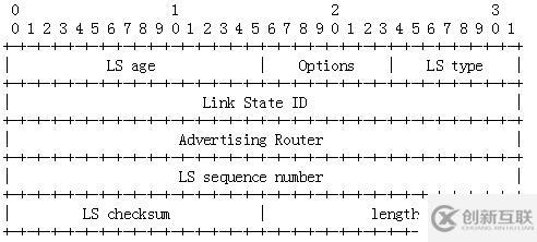 OSPF報(bào)文詳解