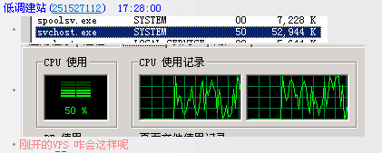 【已解決】剛開的VPS，CPU跑很高