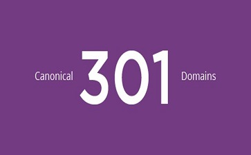 canonical、301、Domains