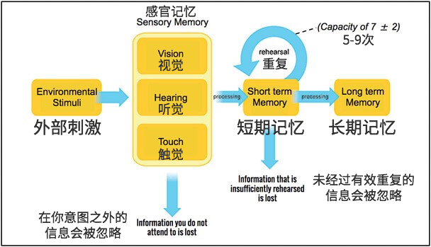 通過記憶心理學(xué)提升網(wǎng)站用戶體驗a