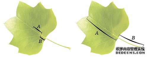 干貨分享: 幾何設(shè)計學(xué)原理の黃金分割在網(wǎng)頁設(shè)計中的應(yīng) <a href=