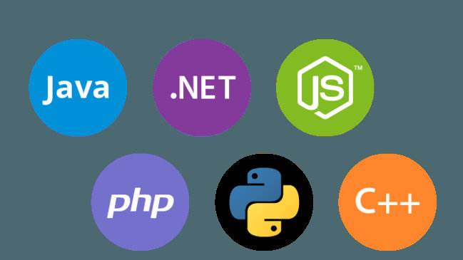 網站程序開發(fā)語言