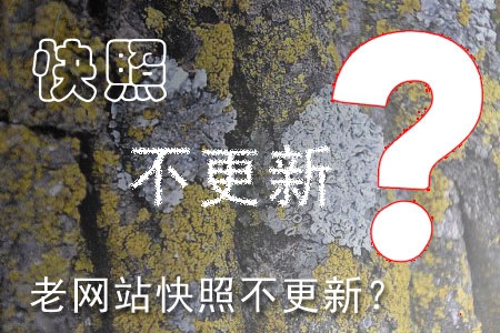 哪些因素造成老網(wǎng)站快照不更新？