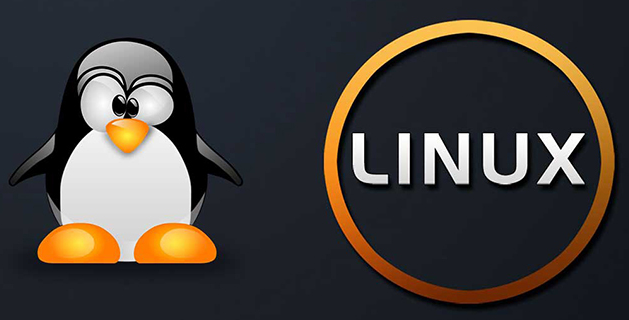 linux怎么ping，LinuxPing的步驟講解