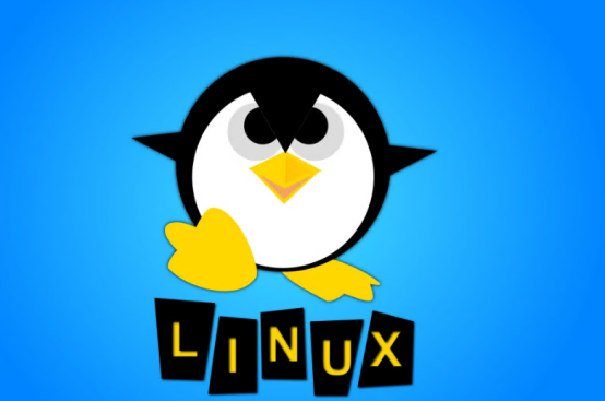 Linux 云服務(wù)器好用嗎？（解讀Linux云服務(wù)器的特點(diǎn)優(yōu)勢(shì)）