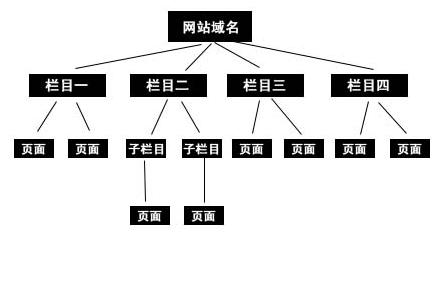 網(wǎng)站結(jié)構(gòu)