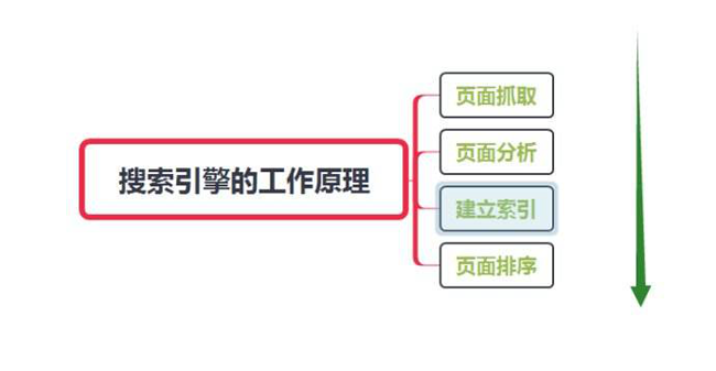 網(wǎng)站怎么讓蜘蛛快速抓??？