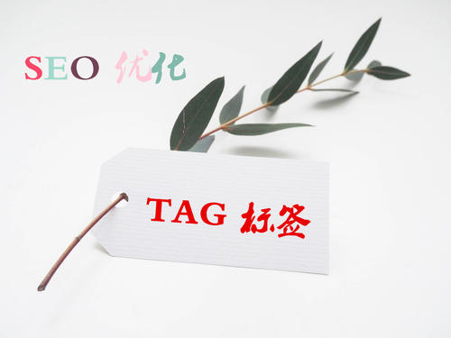 TAG標簽的使用對于SEO優(yōu)化的重要性是什么？